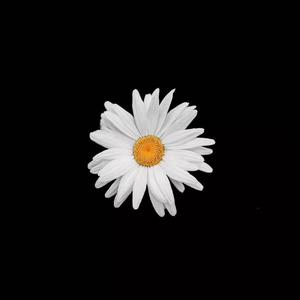 印度高清❌❌❌O0
