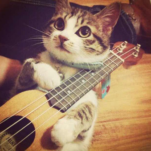 印度高清❌❌❌O0
